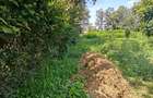 1.1 ac Land in Karen - 10