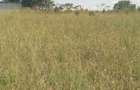 0.25 ac Residential Land in Ngong - 7