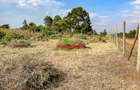 0.125 ac Residential Land at Lusigetti - 8