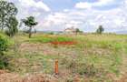 0.05 ha Residential Land at Kamangu - 8