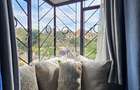 Furnished 3 Bed Apartment with En Suite in Kileleshwa - 9