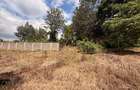 Residential Land at Muthithi Gardens - 9