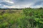 0.4 ha Land at Masai Lodge - 10