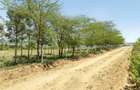 0.125 ac Residential Land in Naivasha - 5