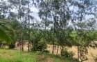 10 ac Land at Mtwapa Creekside - 3