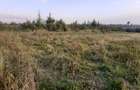 0.5 ac Residential Land in Nanyuki - 2