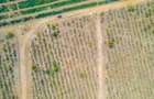 0.125 ac Land at Vipingo - 11