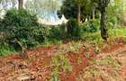 1 ac Land at Muchatha - 1