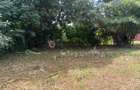 400 ac Land at Kilimani - 13