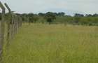 2 ac Land at Kangundo Road - 6