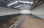 6,000 ft² Warehouse with Backup Generator in Kiambu Road - 2