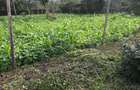 500 m² Residential Land in Ongata Rongai - 4