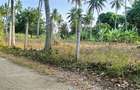 15 ac Land at Bomani - 4