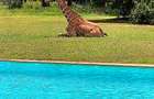 3 Bed House with En Suite at Vipingo Ridge Golf &Residential Estate - 1