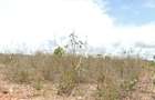 0.25 ac Residential Land at Diani Beach Road - 8