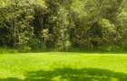 Residential Land at Ndege Road - 3