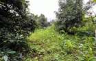 2.4 ac Land at Tigoni - 6