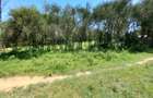 5 ac Land at Burguret - 5