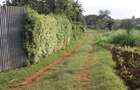 0.25 ac Land at Gikambura - 11