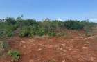 6 ac Land in Kilifi - 3