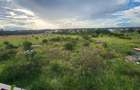 0.4 ha Land at Masai Lodge - 1