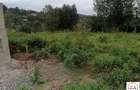 0.25 ac Residential Land at Mhasibu Silver Birch Estate - 5