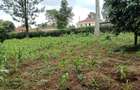 Land at Mimosa Road - 6
