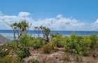 1 ac Land at Vipingo Beach Estate - 2