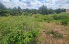 0.2 ha Commercial Land at Merisho Road - 4