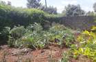 3 Bed House with En Suite at Tigoni Road - 4