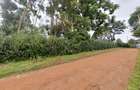 Residential Land at Kinanda Road - 4