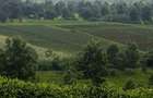 2 ac Land at Off Tigoni - Kabuku Rd - 7