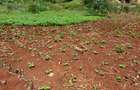 1.3 m² Land at Kiambu Road - 1