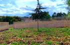 Residential Land in Kikuyu Town - 3