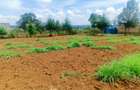 500 m² Residential Land at Runana Area - 4