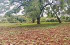 4,047 m² Land in Thigiri - 1