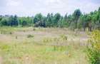 Land in Gikambura - 1