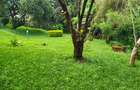 5 Bed House with En Suite in Kitisuru - 13