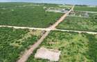 Land in Malindi - 7