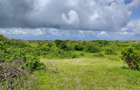 12 ac Land in Watamu - 4