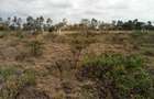 20 ac Land at Namanga Rd - 5
