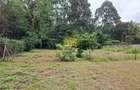 0.5 ac Land in Karen - 4