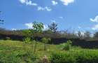 0.125 ac Residential Land at Runda - 7