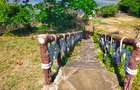 Land in Shanzu - 17