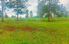 500 m² Residential Land at Oaklands Estate - 4