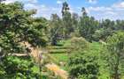 0.25 ac Residential Land at Tigoni - 14
