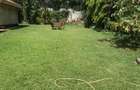 2 Bed House with Garden in Runda - 8