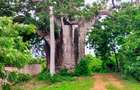 Land in Vipingo - 1