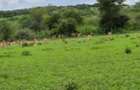 Residential Land in Bisil - 6
