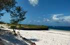 30.8 ac Land in Kilifi County - 1